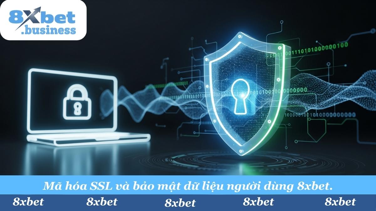 Mọi dữ liệu của bạn được mã hóa SSL tiên tiến, bảo vệ an toàn khỏi mọi truy cập trái phép.
